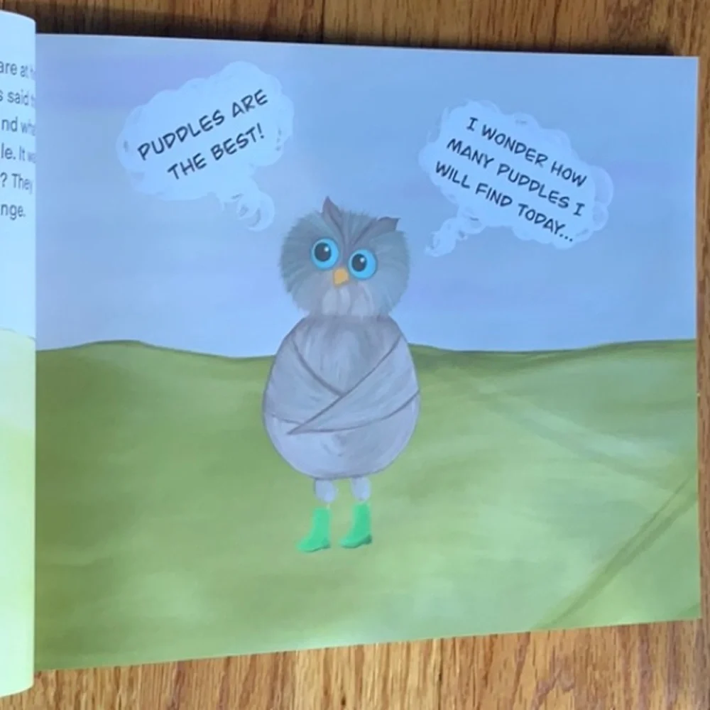 Jacob Loves Puddles PLUS Craft Project Written and Illustrated by Amanda…